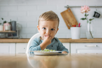 charming little baby boy eating first food green grape at the bright kitchen at home