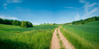 © luchschenF - dirty road in summer green field