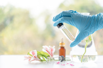 Close up scientist hand holding essential oils with fresh flower. Lab research for scent extract for the new skincare product.