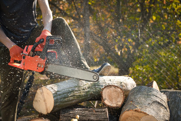 Poster - Chainsaw that stands on a heap of firewood in the yard on a beautiful background of green grass and forest. Cutting wood with a motor tester