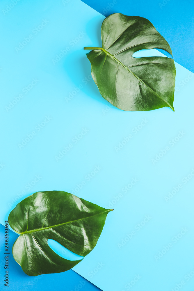 Fresh tropical leaves on color background