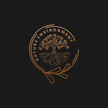 Fertile Tree Logo For The Health Logo Of Natural And Agricultural Medicine