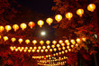 Red chinese lanterns. Chinese New Year 