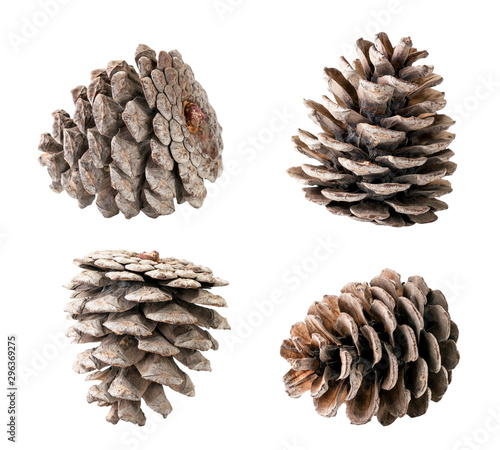 Cuadros en Lienzo Set of Christmas tree cones closeup on a white, isolated.