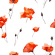Seamless floral pattern with poppy. Watercolor illustration.