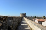 Fototapeta Na drzwi - Tours et remparts d’Aigues-Mortes