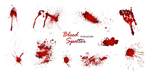 Set of various blood or paint splatters isolated on white background. Happy Halloween decoration,horrible blood drops, creepy splash, spot.Vector illustration