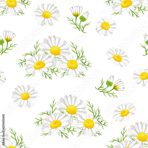Fototapety Rumianek  kwiaty-rumianku-z-zielonymi-liscmi-na-bialym-tle-wzor-wektor-kwiatowy