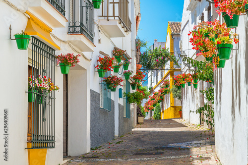 Cuadros en Lienzo The beautiful Estepona, little and flowery town in the province of Malaga, Spain