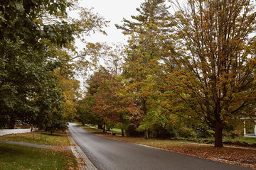 Wall Mural - Beautiful historic neighborhood on a cold, Fall day in the New England town of Bennington.  