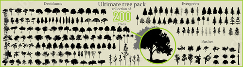 Fotomural Even More Ultimate Tree collection, 200 detailed, different tree vectors