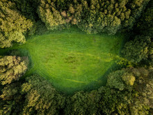 Small Green Glade In Forests, Aerial Top View, Oval Shape.