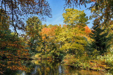 Wall Mural - beautiful autumn trees with colorful leaves on a lake in an old park, seasonal nature background wit