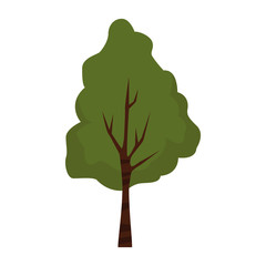 Wall Mural - tree icon image, flat design