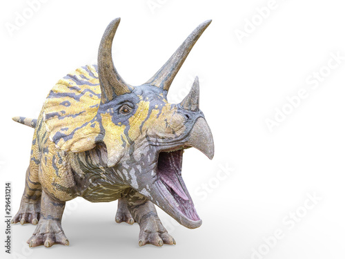 Obrazy dinozaury  triceratops-dzwoni-na-bialym-tle