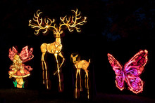 Illuminated Deer In Christmas Display