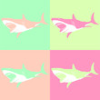 Color pastel shark flat isolated on color background