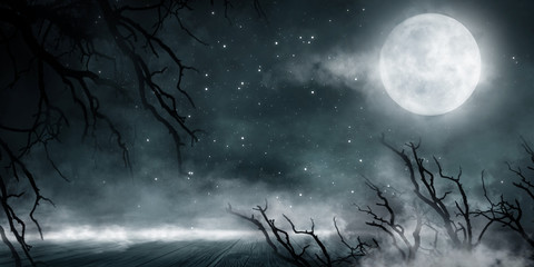 Wall Mural - dark forest. gloomy dark scene with trees, big moon, moonlight. smoke, shadow. abstract dark, cold s