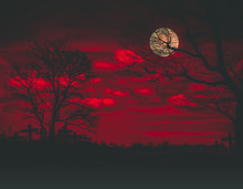 Halloween Backdrop With The Old Grunge Plank Wood Board And The Silhouette Trees With Full Moon And Flying Bats On The Mystery Orange Blood Dark Cloud At Night At The Haunted Graveyard In Background.