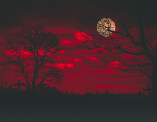 halloween backdrop with the old grunge plank wood board and the silhouette trees with full moon and 