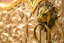 Lion Head Symbol On House Gate 