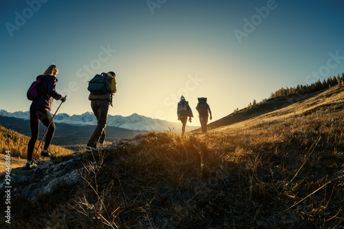 Fotomural Group of hikers walks in mountains at sunset