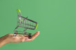 © Pixel-Shot - Female hand with empty small shopping cart on color background
