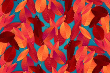 Wall Mural - Autumn background with red and orange leaves. Realistic vector iluustration.