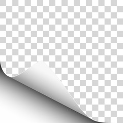 Wall Mural - Vector lower left curl of corner of transparent sheet of paper.