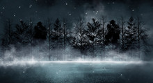 Dark Forest. Gloomy Dark Scene With Trees, Big Moon, Moonlight. Smoke, Shadow. Abstract Dark, Cold Street Background. Night View.