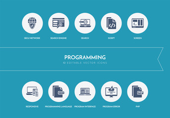 Wall Mural - 10 programming concept blue icons