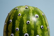 watermelon freak