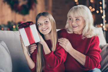 Poster - Close-up portrait of nice attractive careful cheerful cheery granny pre-teen grandchild holding in hands festal bow ribbon box congratulation congrats at decorated industrial loft style interior house