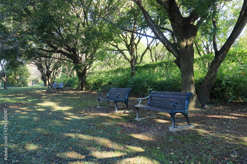 公園の誰もいない木陰のベンチ Stock Photo Adobe Stock 公園の誰もいない木陰のベンチ Stock Photo Adobe Stock
