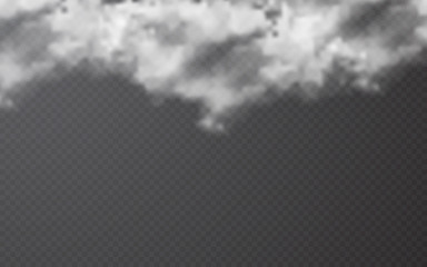 Wall Mural - realistic cloud on transparent background. vector illustration