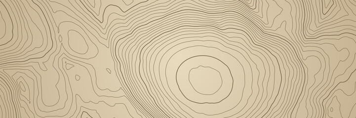 Leinwandbilder - Abstract topographic map background with height lines