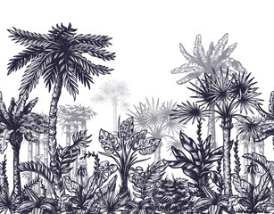 seamless border with graphic tropical trees such as palm, banana, monstera for interior design. vect
