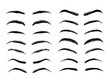 Eyebrows shapes vector set, sketch collection isolated on white background