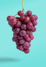 Bunch Of Red Grapes Isolated On Blue Background - Image
