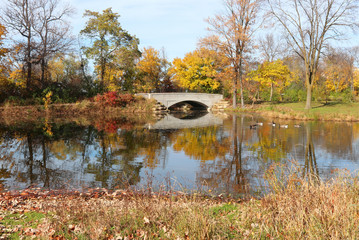 Wall Mural - beautiful fall landscape with a bridge in the city park.scenic view with colored trees and bridge in
