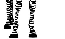 Zebra's Legs Isolated On White Background,vector Illustration For Typography , Art Design