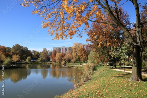 Fototapeta Bytom  jesienny-park-w-bytomiu