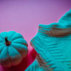 Wall Mural - Sweater and pumpkin composition in neon light