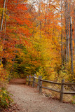 Fototapeta Pomosty - Fall Foliage in Vermont New England