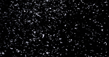 Wall Mural - falling real snowflakes, heavy snow, shot on a black background, frosted, wide-angle, insulated, ide