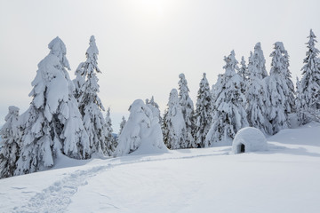 Igloo covered by snow stands on the lawn. Winter scenery in the sunny day. Snowy background.