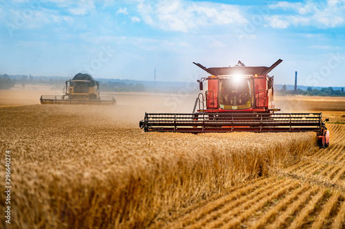Cuadros en Lienzo Grain harvesting combine in a sunny day