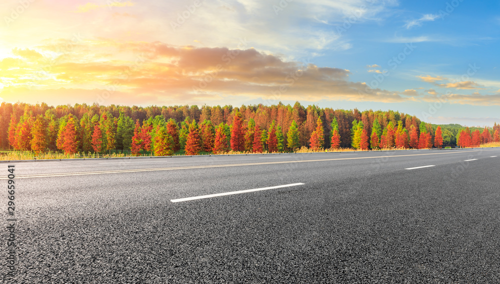 Empty asphalt road and beautiful colorful forest in autumn Stock Photo ...