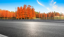 Empty Asphalt Road And Beautiful Colorful Forest In Autumn