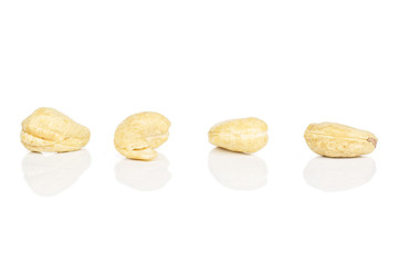 Group of four whole brown nut cashew in row isolated on white background